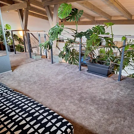 Pod Lesem Ii Apartment *